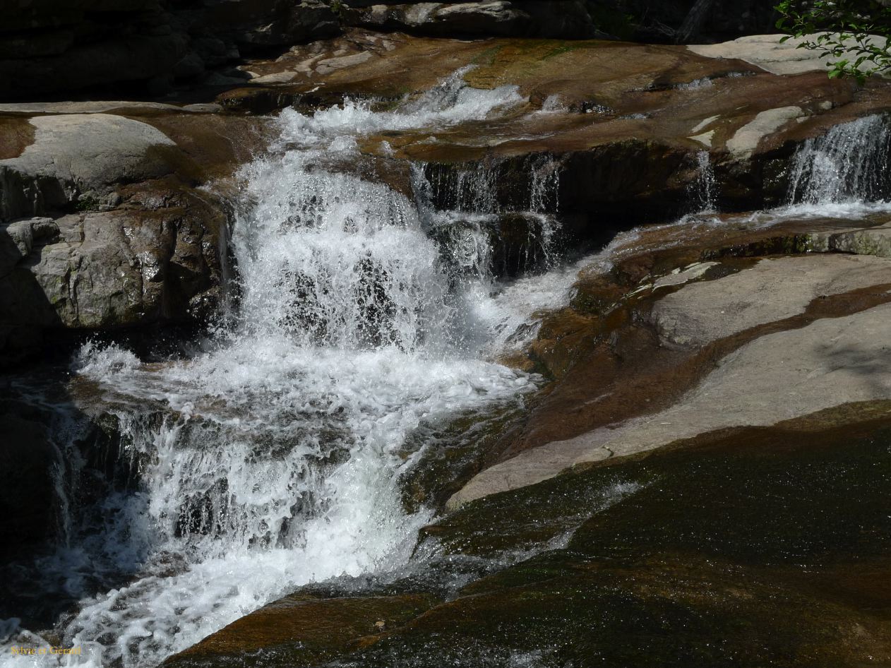 C Autour de Porto la fôret d'Aittone  002