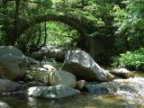 F Autour de Porto les Gorges de la Spelunca  004