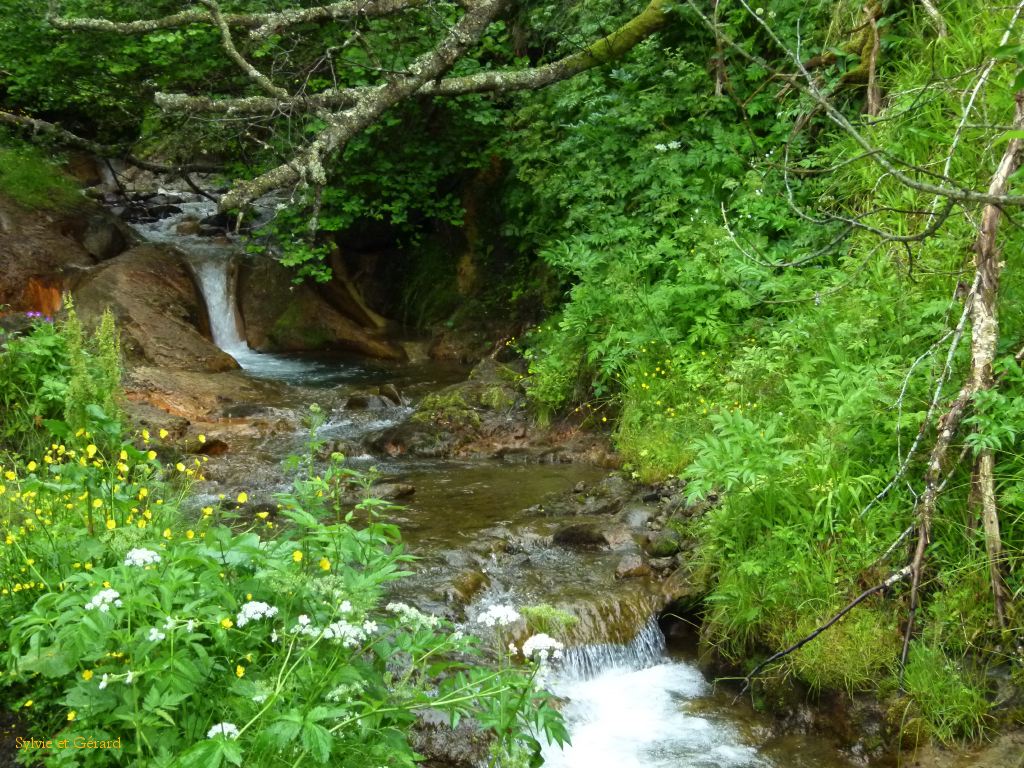 55 Vallée de Chaudefour  053