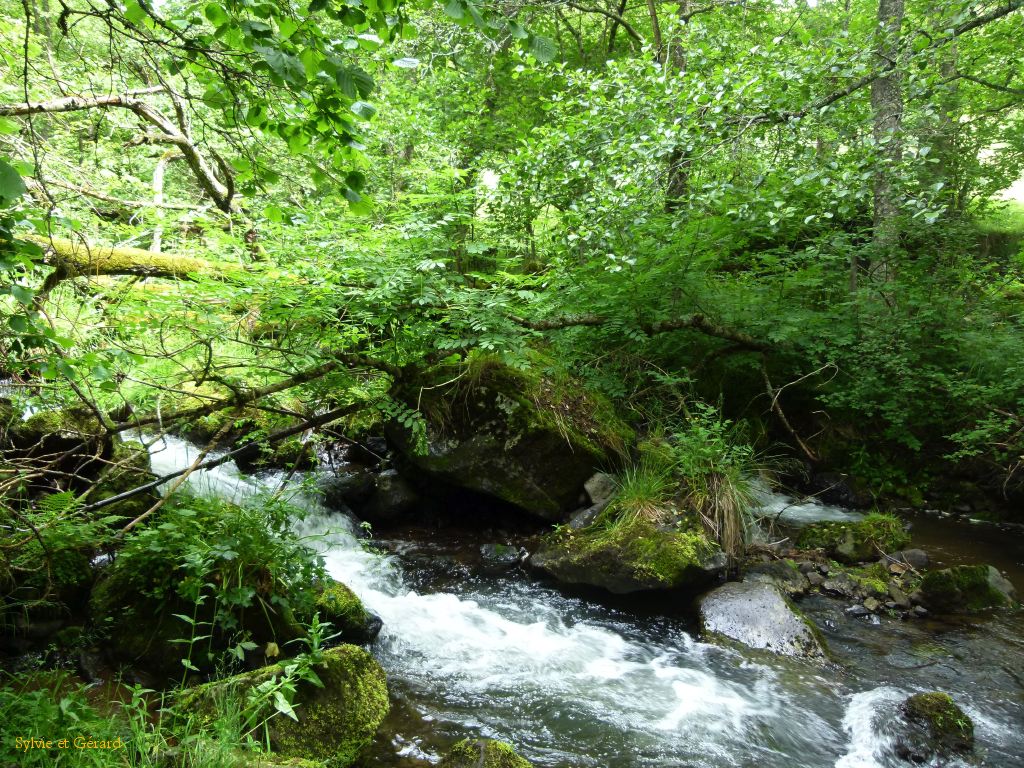 07 Le long de la Couze  012