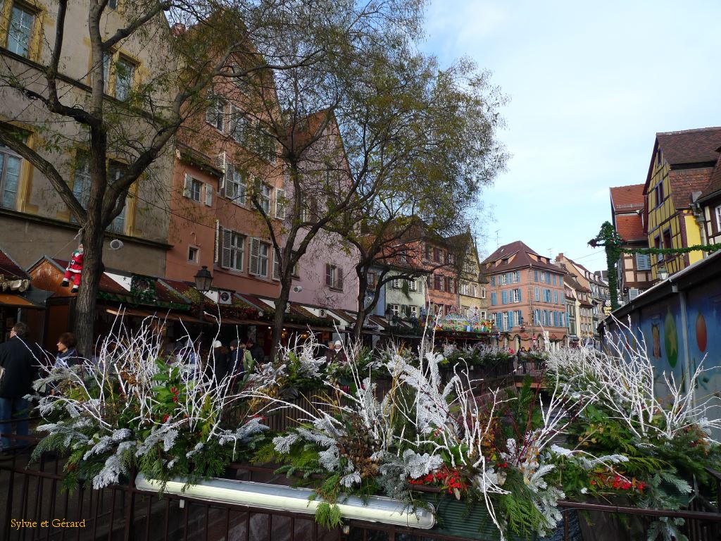 Colmar 13 P1110184