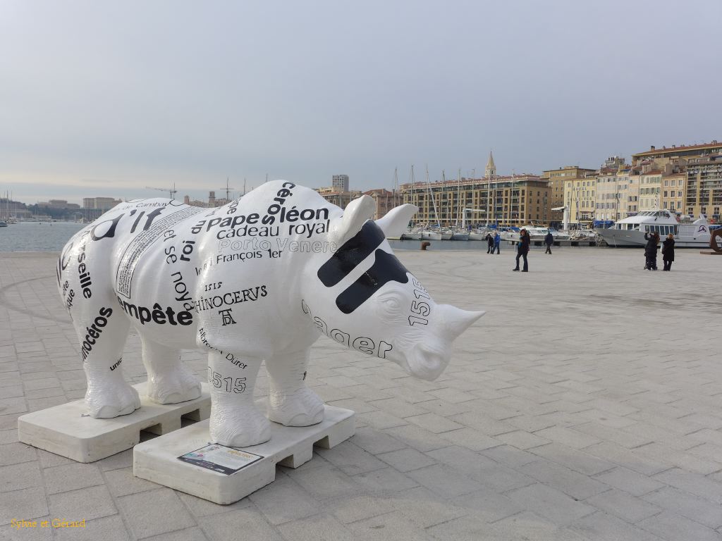 038 Rhifnoceros de C. Castellorizios