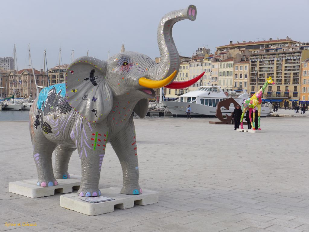 039 Rose Celia Jackson de S.Dok et A. Nuts 