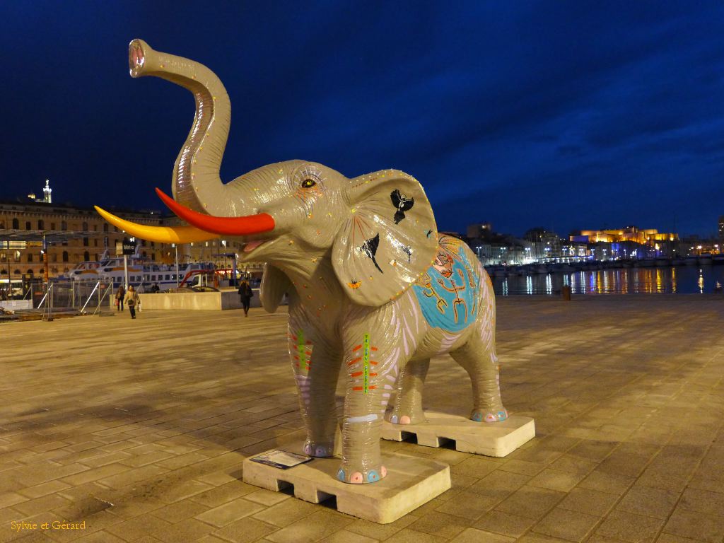 071 Marseille Funny Zoo