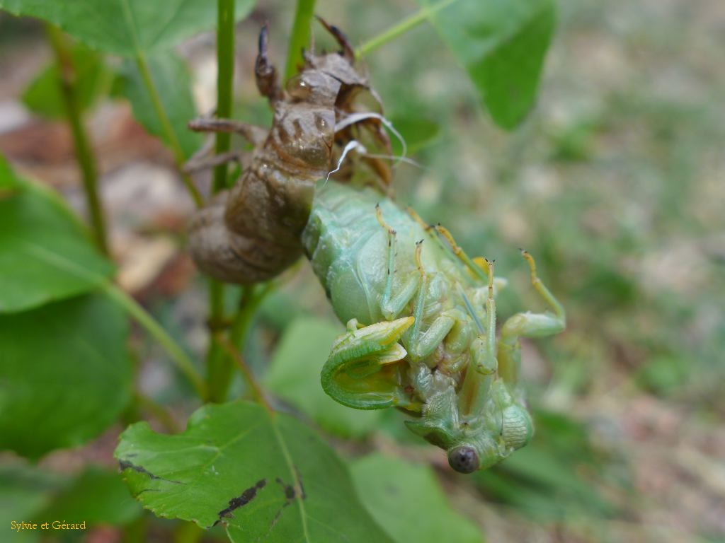 24 elles vont se dérouler doucement