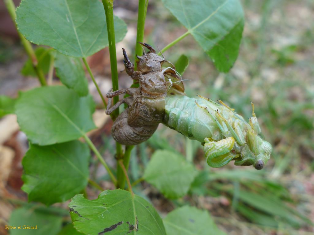 25 en quelques secondes