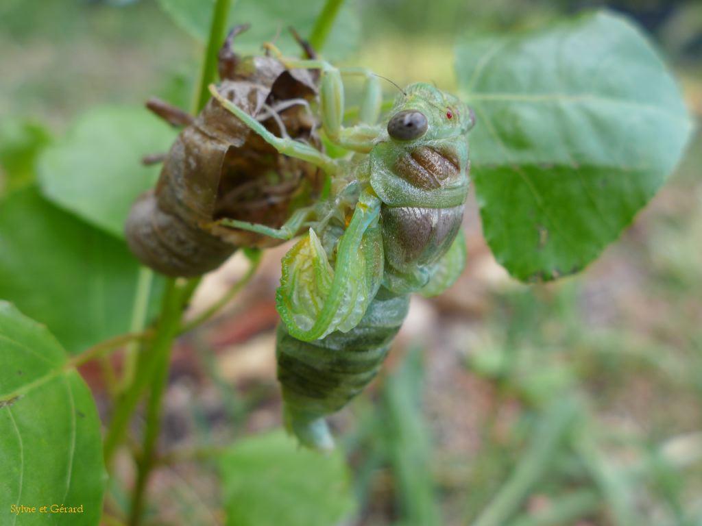 30 très très doucement