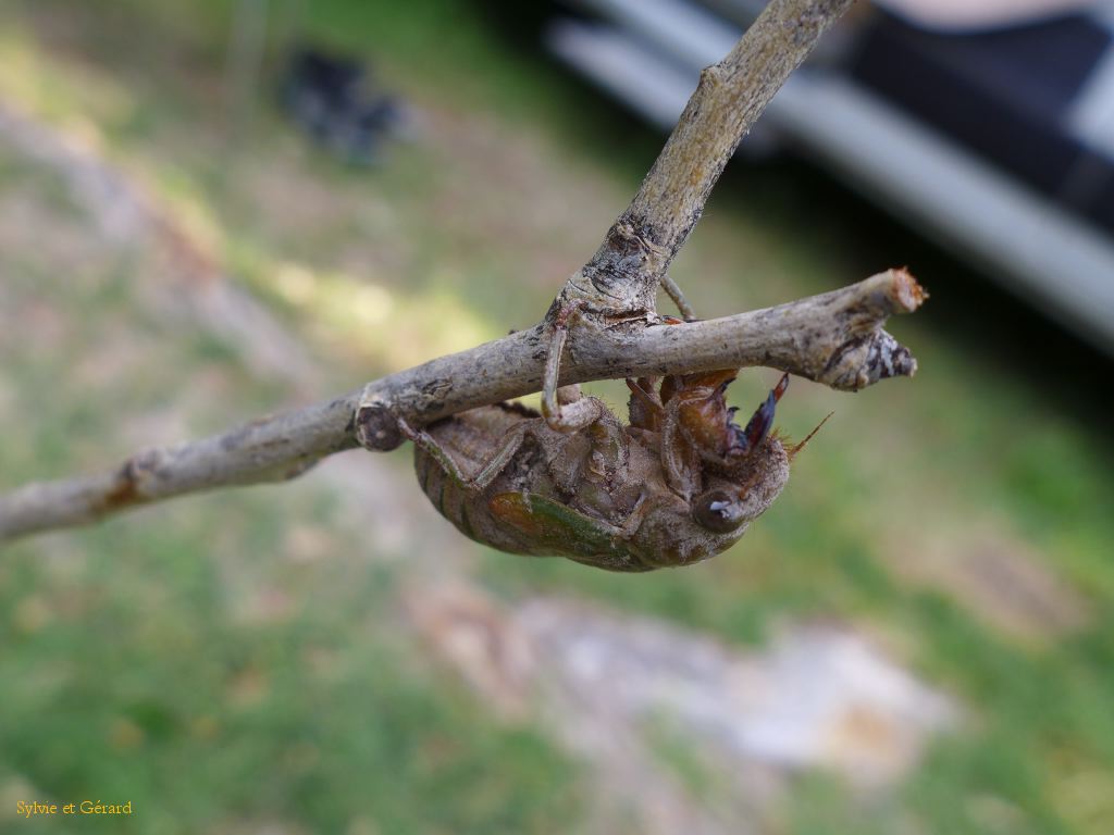 42 et en voila une autre