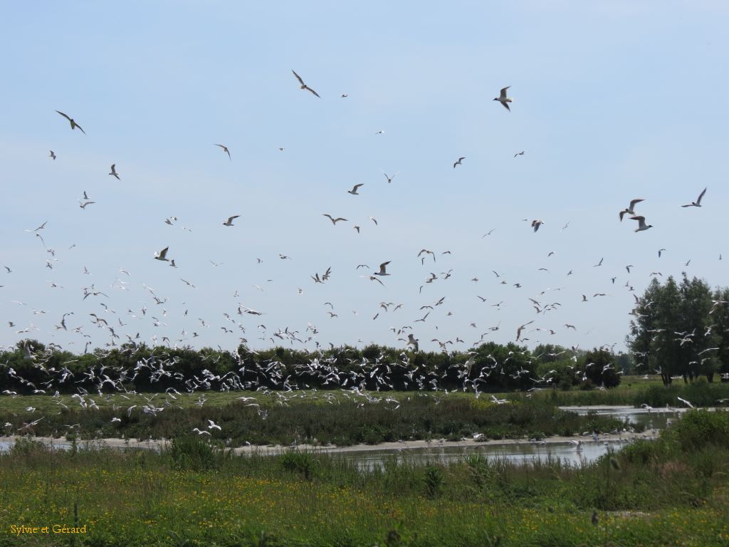 27 St Valery en Somme 