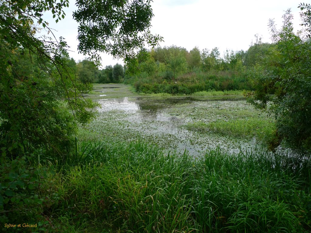 La Loire à Bréhémont 3