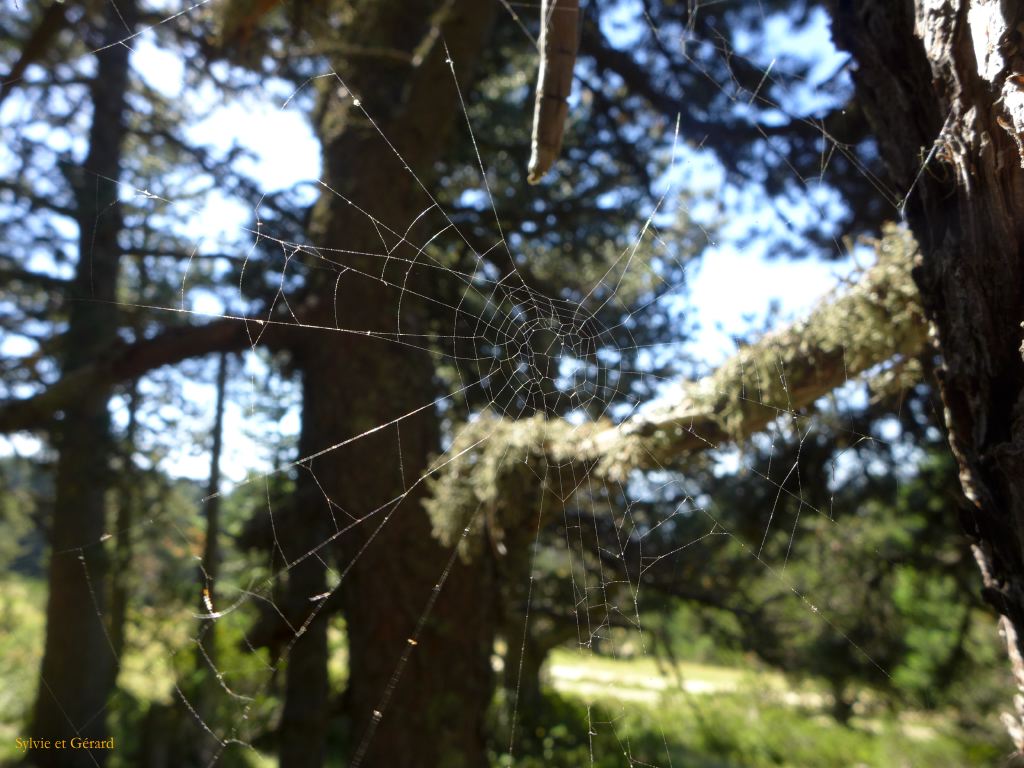 23 Plateau de Beille 