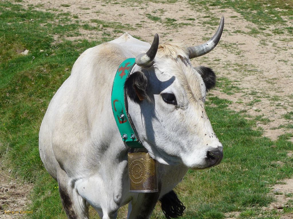 25 Plateau de Beille 