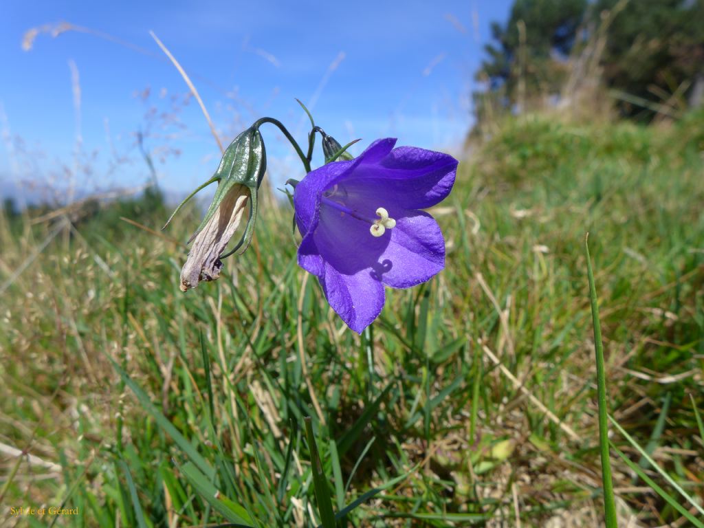 26 Plateau de Beille 