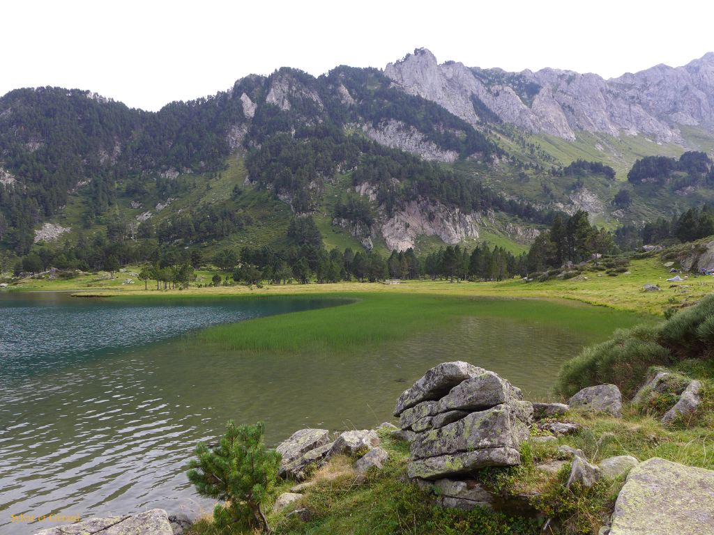 72 Etang du Laurenti