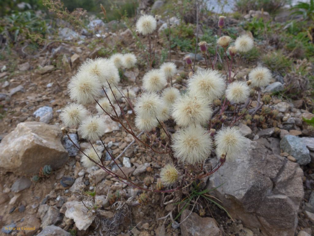 76 Etang du Laurenti 