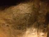 87 Grotte de Niaux 