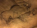 89 Grotte de Niaux 