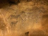 91 Grotte de Niaux