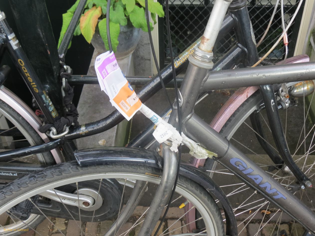 166 tout sur le vélo hollandais