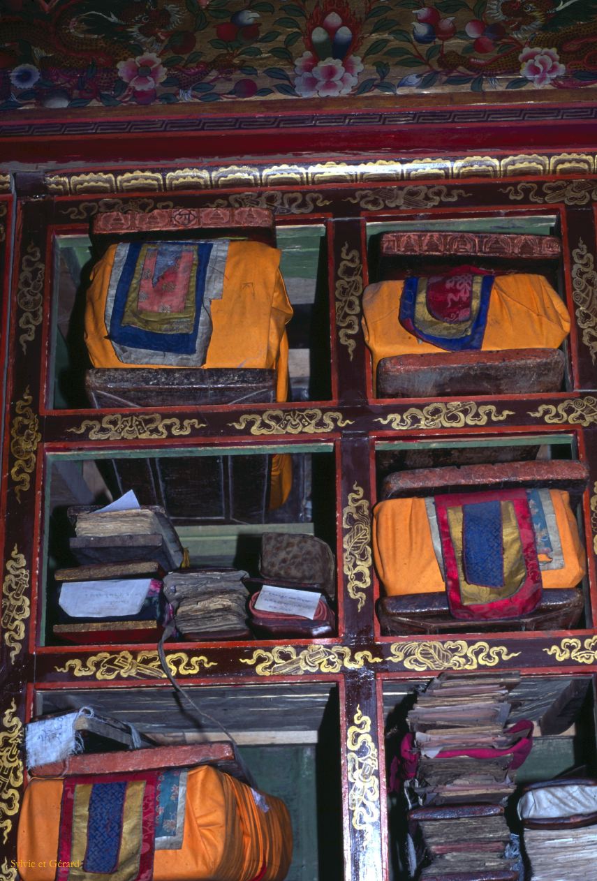 E 11 Ladhak Phyang Inde 1995-056