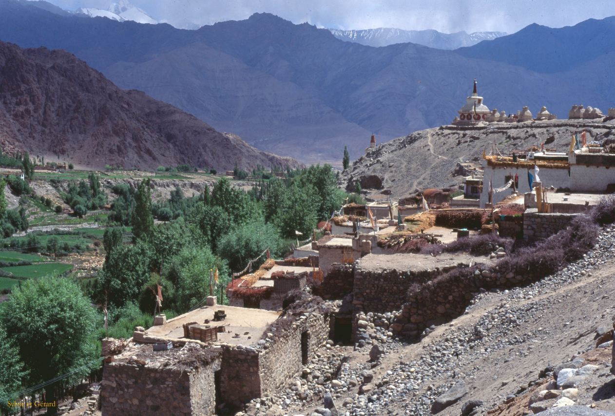E 19 Ladhak Phyang Ladhak Inde 1995-066