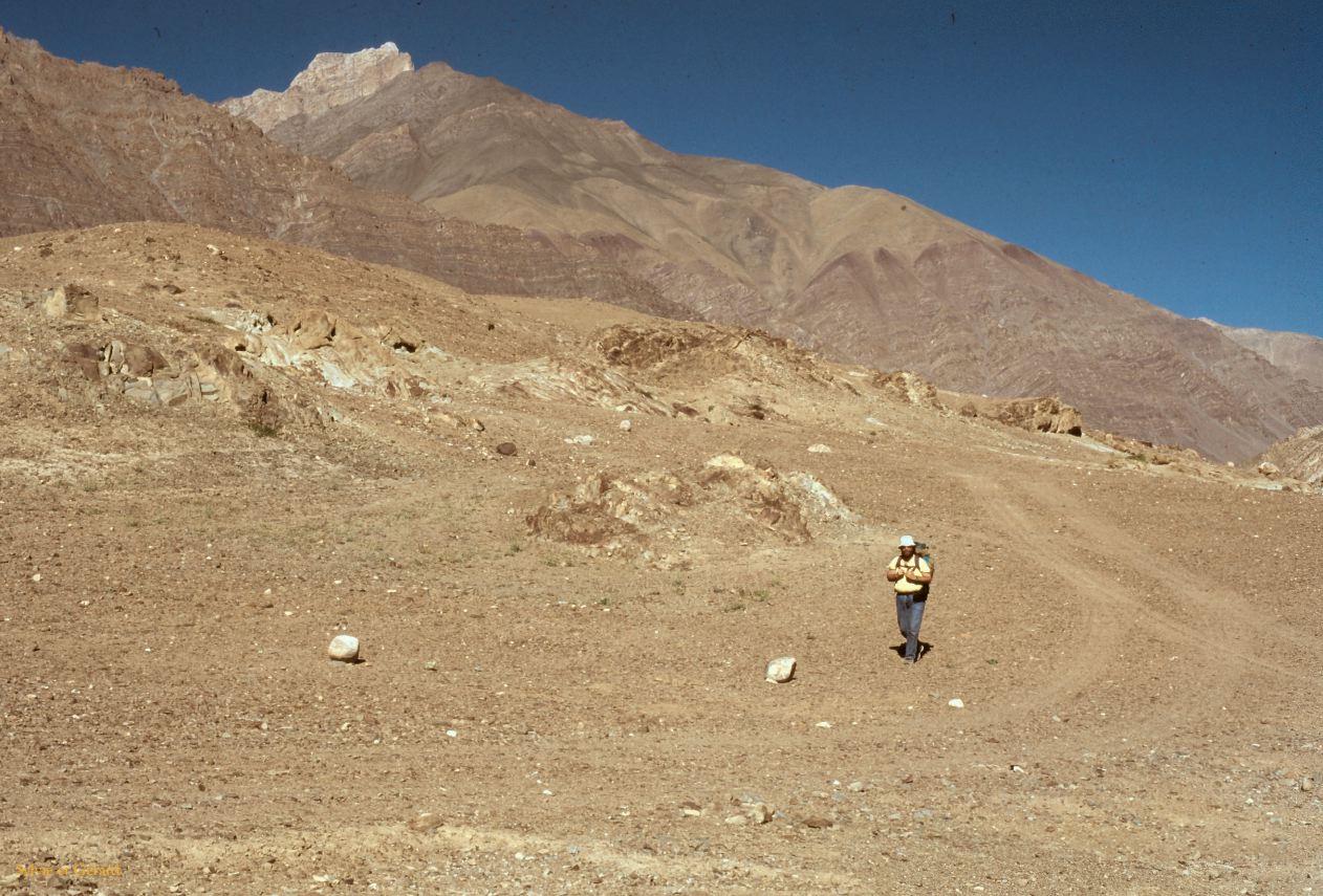 E 26 Ladhak Phyang Ladhak Inde 1995-073