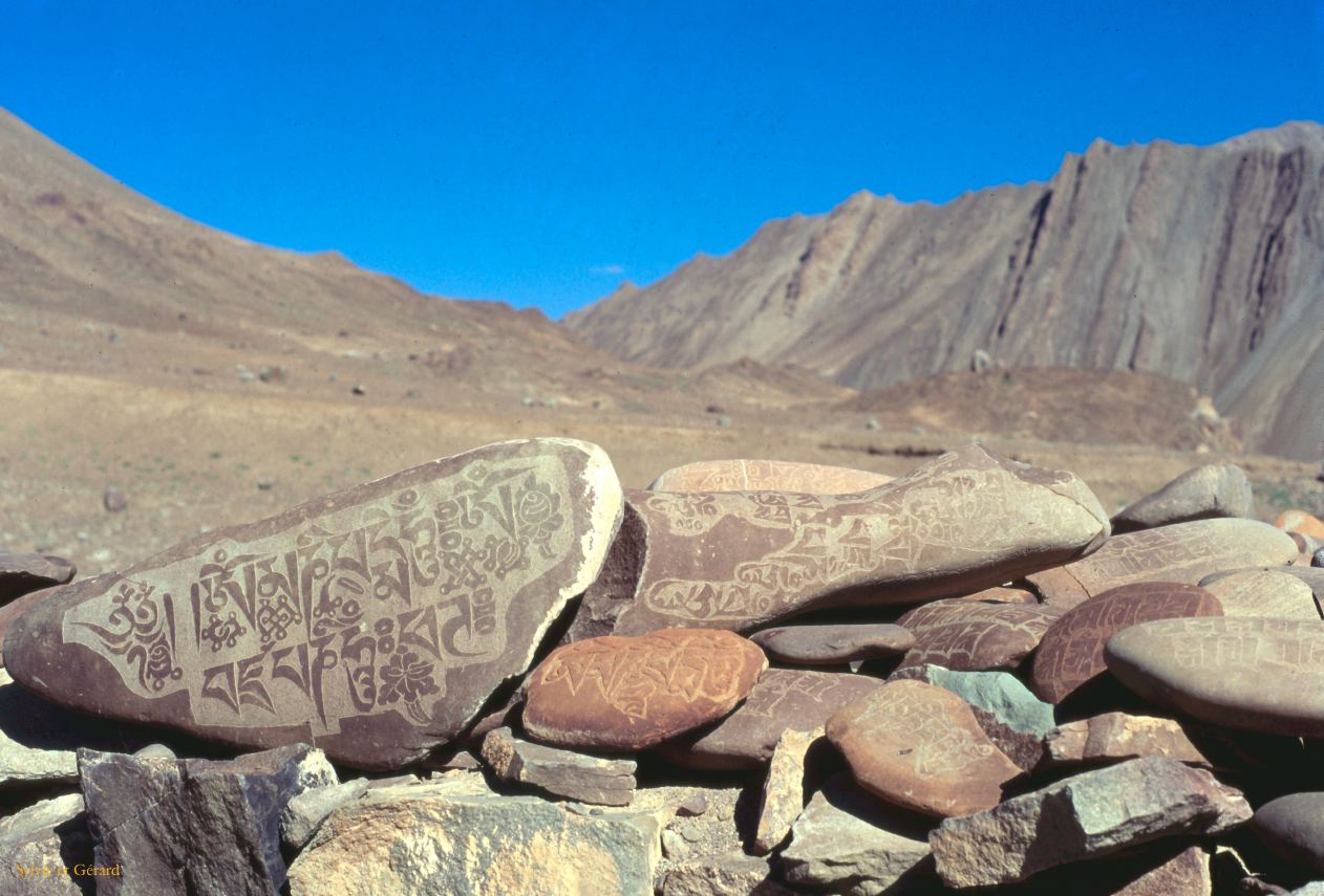 E 27 Ladhak Phyang Ladhak Inde 1995-074