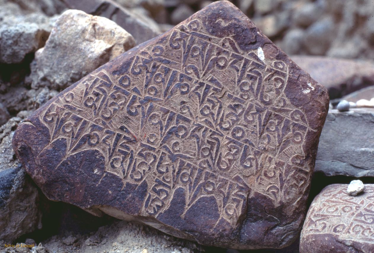 F 31 Ladhak Pierre de Mani Inde 1995-065