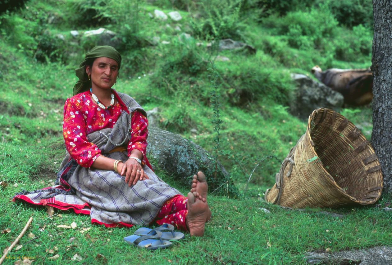 G 06 Autour de Manali Kulu Vallée de Kulu Himachal Pradesh Inde 1995-189