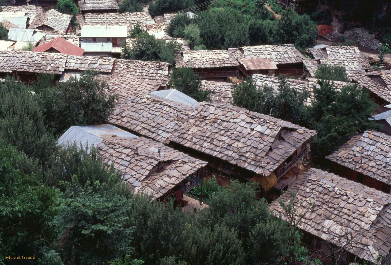 G 07 Autour de Manali Kulu Vallée de Kulu Himachal Pradesh Inde 1995-190