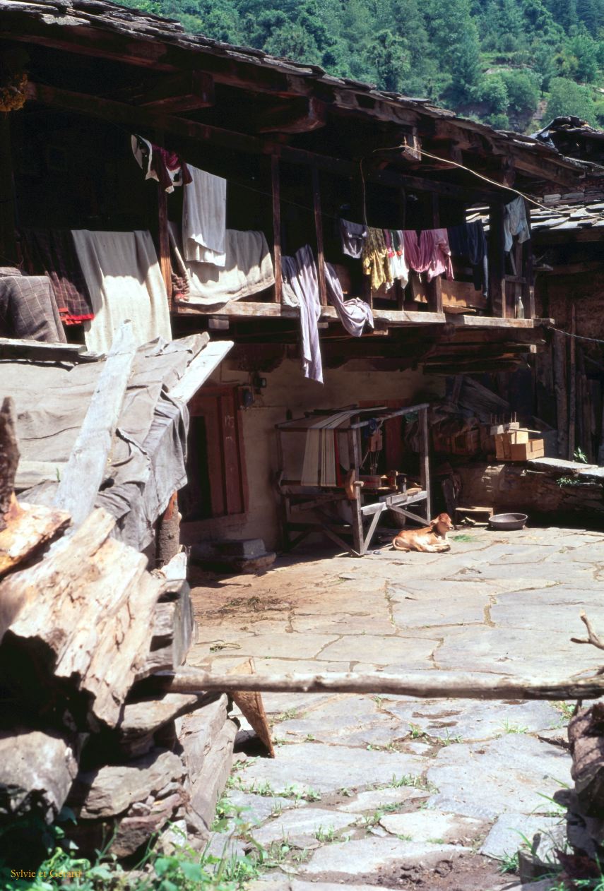 G 13 Autour de Manali Kulu Vallée de Kulu Himachal Pradesh Inde 1995-196