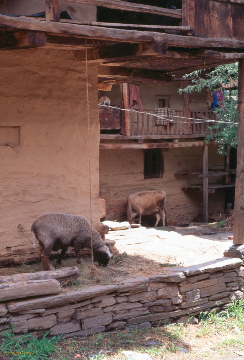 G 16 Autour de Manali Kulu Vallée de Kulu Himachal Pradesh Inde 1995-199