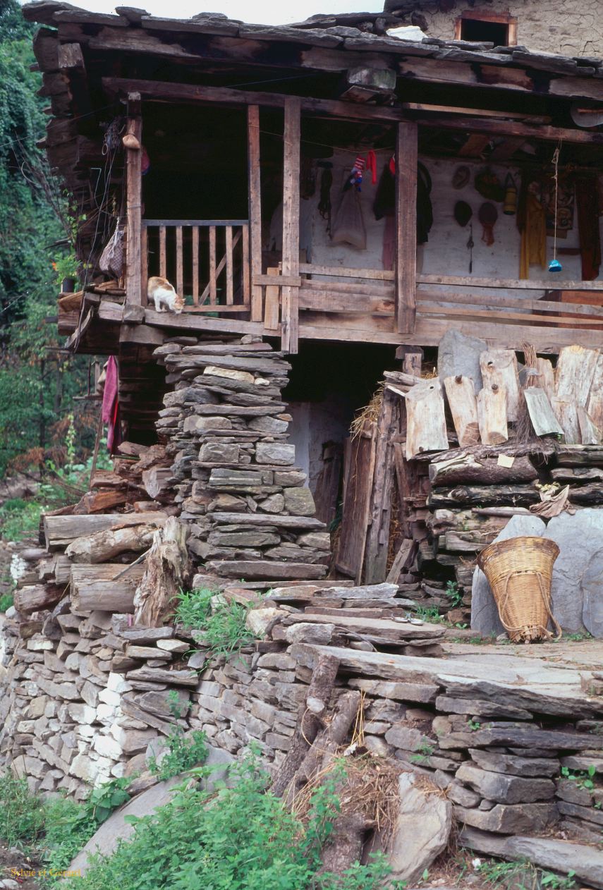 G 23 Autour de Manali Kulu Vallée de Kulu Himachal Pradesh Inde 1995-207