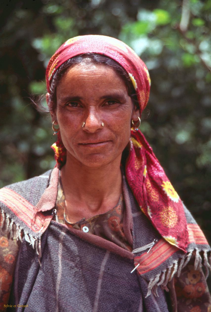 G 28 Autour de Manali Kulu Vallée de Kulu Himachal Pradesh Inde 1995-212