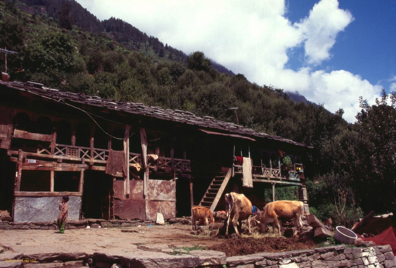 G 30 Autour de Manali Kulu Vallée de Kulu Himachal Pradesh Inde 1995-214