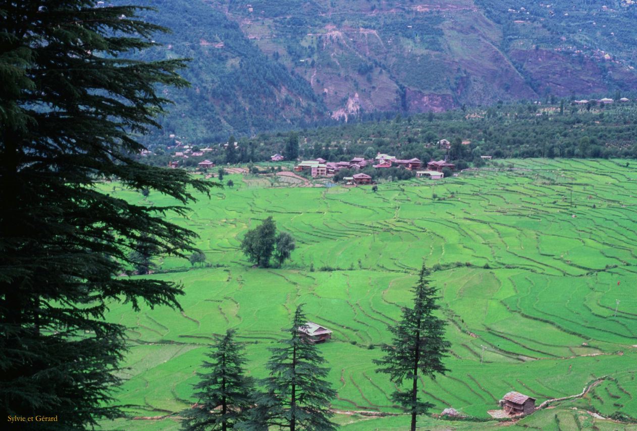 G 31 Autour de Manali Kulu Vallée de Kulu Himachal Pradesh Inde 1995-215