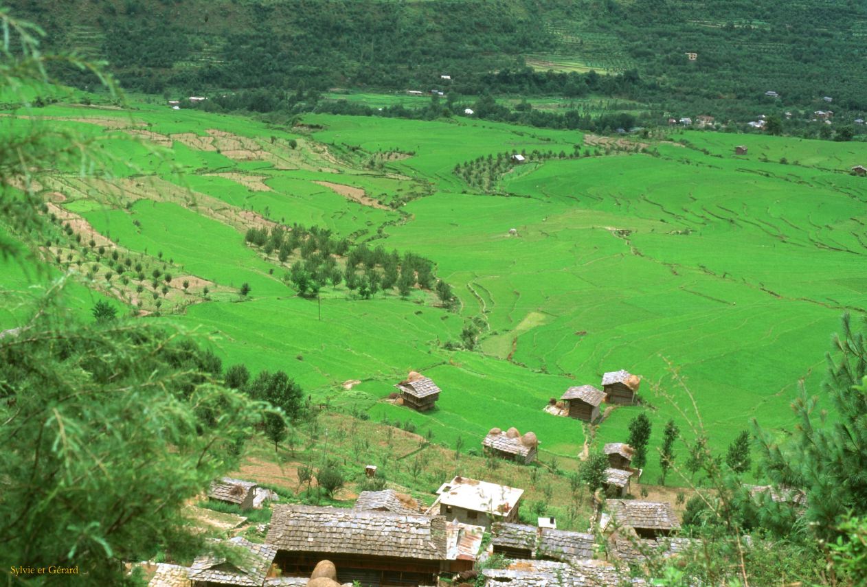 G 33 Autour de Manali Kulu Vallée de Kulu Himachal Pradesh Inde 1995-217