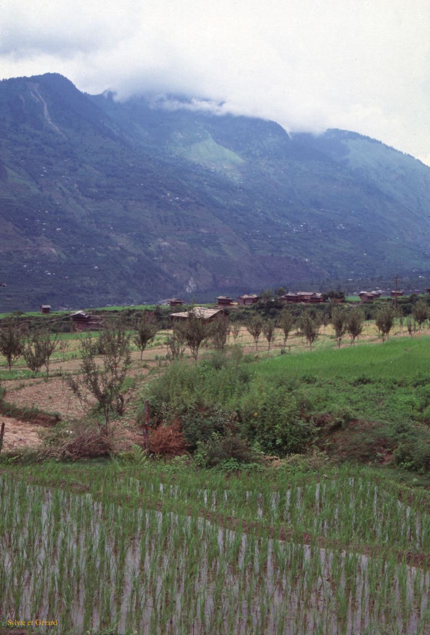 G 35 Autour de Manali Kulu Vallée de Kulu Himachal Pradesh Inde 1995-219