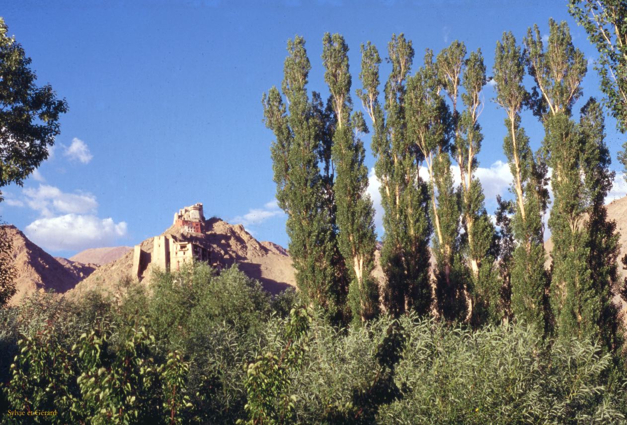 A 24 Ladhak Leh Ladhak Inde 1995-005