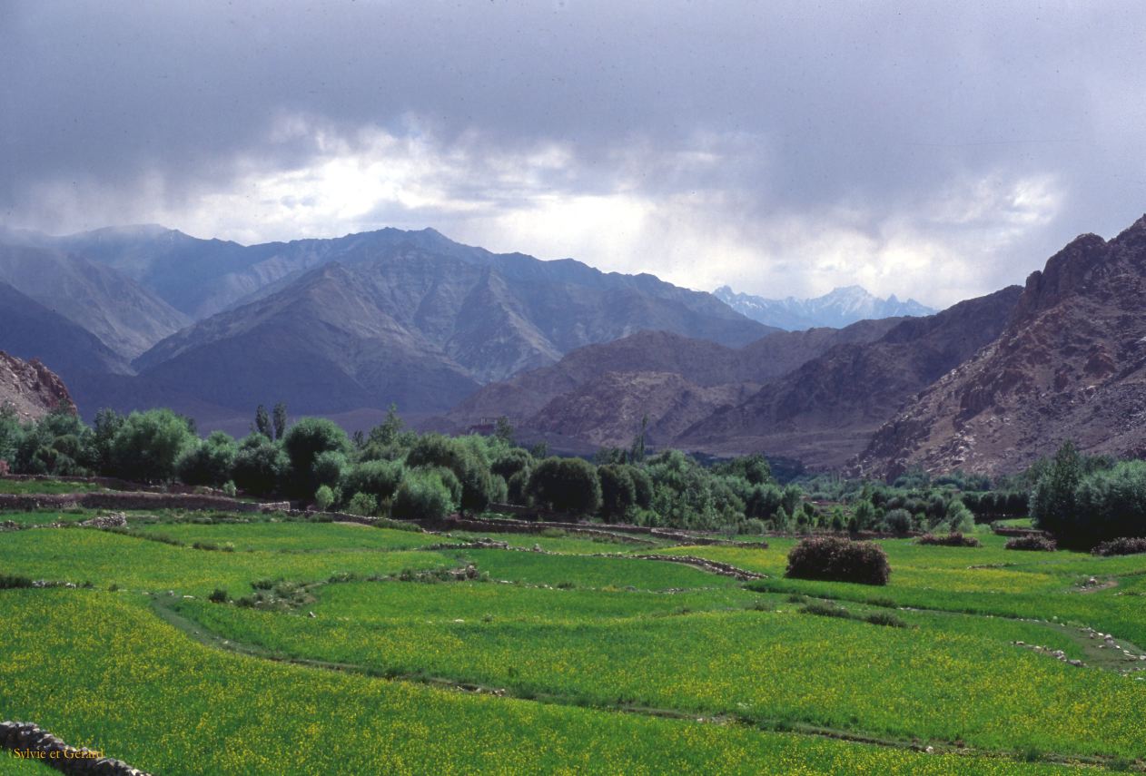 A 29 Ladhak Leh Ladhak Inde 1995-034