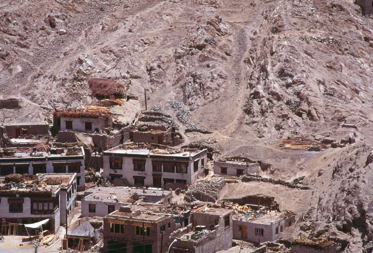 A 31 Ladhak Leh Ladhak Inde 1995-036