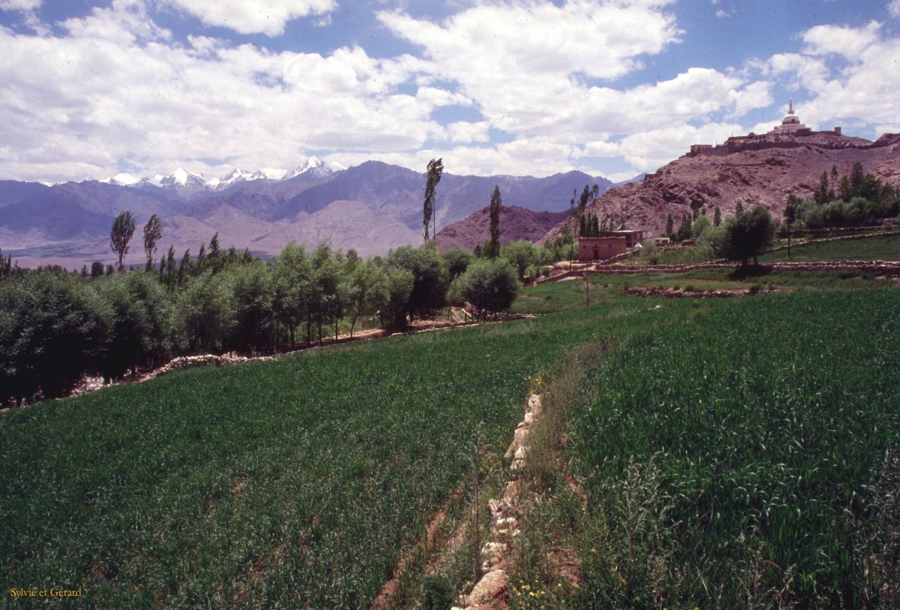 A 41 Ladhak Leh Shanti Gompa Ladhak Inde 1995-039