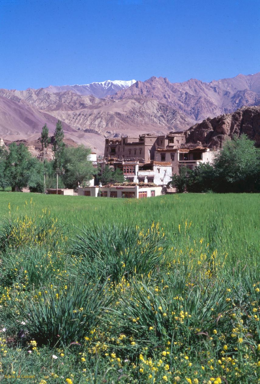 C 04 Ladhak Alchi Ladhak Inde 1995-079