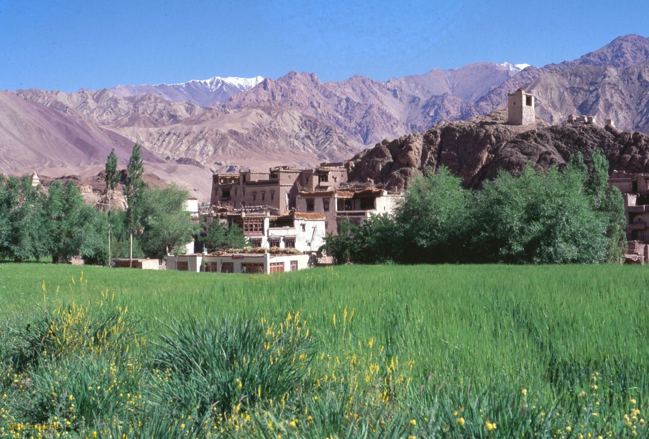 C 05 Ladhak Alchi Ladhak Inde 1995-080