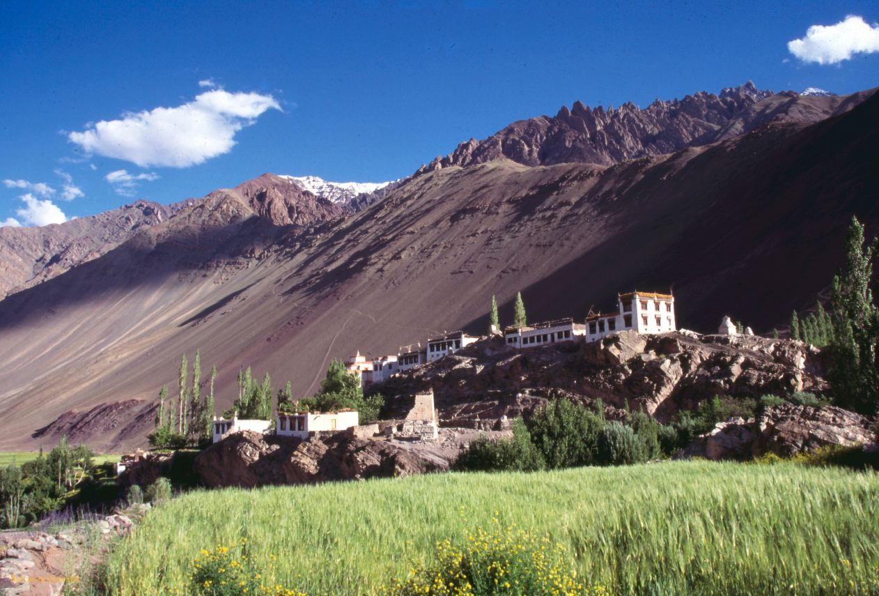 C 13 Ladhak Alchi Ladhak Inde 1995-088