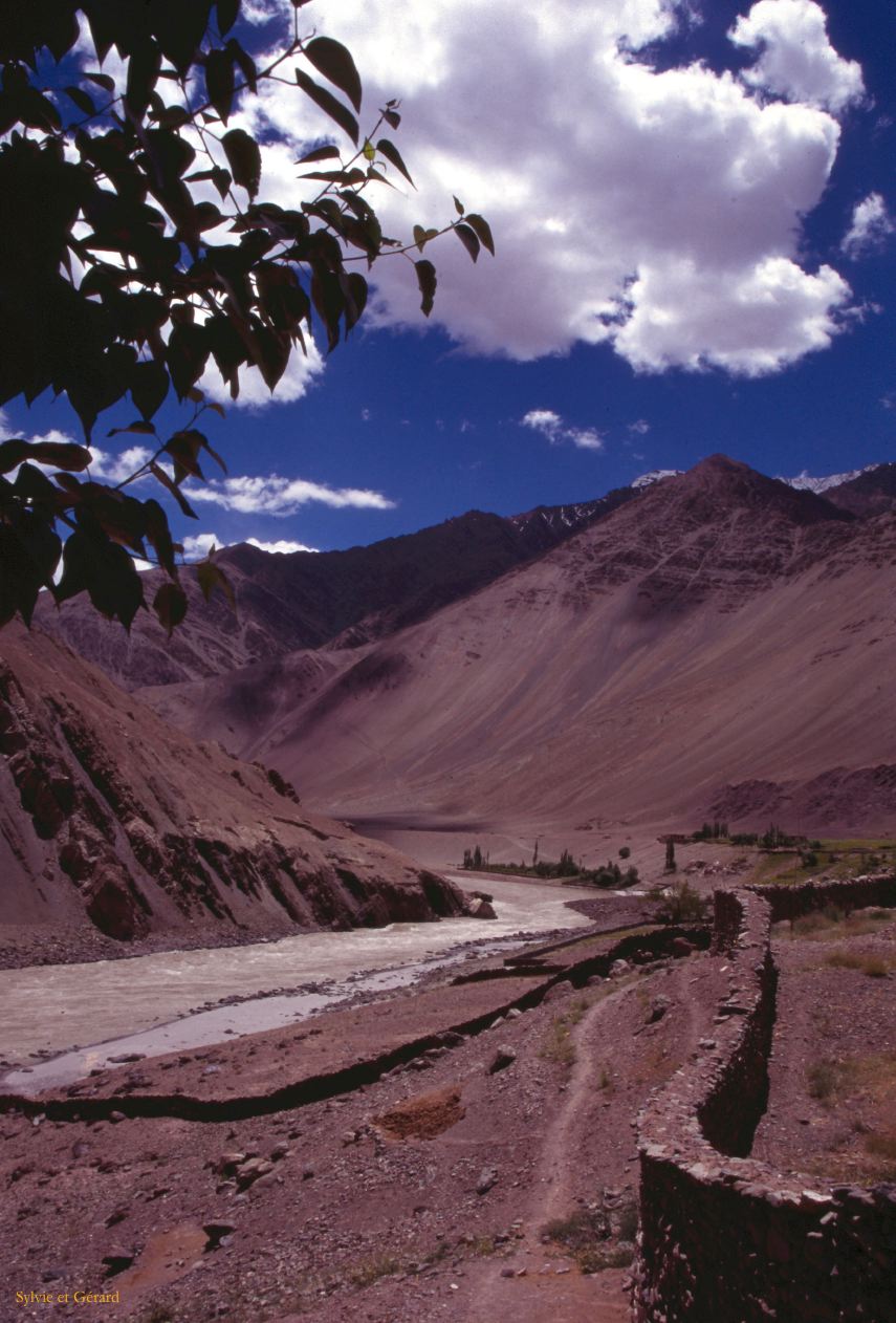 C 20 Ladhak Alchi Ladhak Inde 1995-096