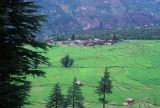 G 31 Autour de Manali Kulu Vallée de Kulu Himachal Pradesh Inde 1995-215