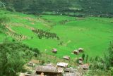 G 33 Autour de Manali Kulu Vallée de Kulu Himachal Pradesh Inde 1995-217