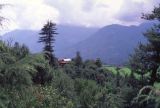 G 34 Autour de Manali Kulu Vallée de Kulu Himachal Pradesh Inde 1995-218