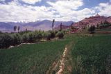 A 41 Ladhak Leh Shanti Gompa Ladhak Inde 1995-039